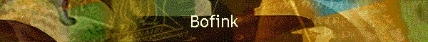 Bofink